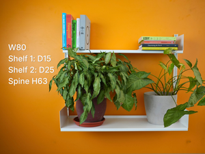 Shelf