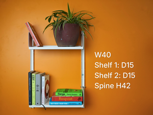 Shelf