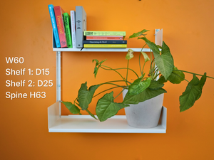 Shelf