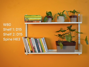 Shelf