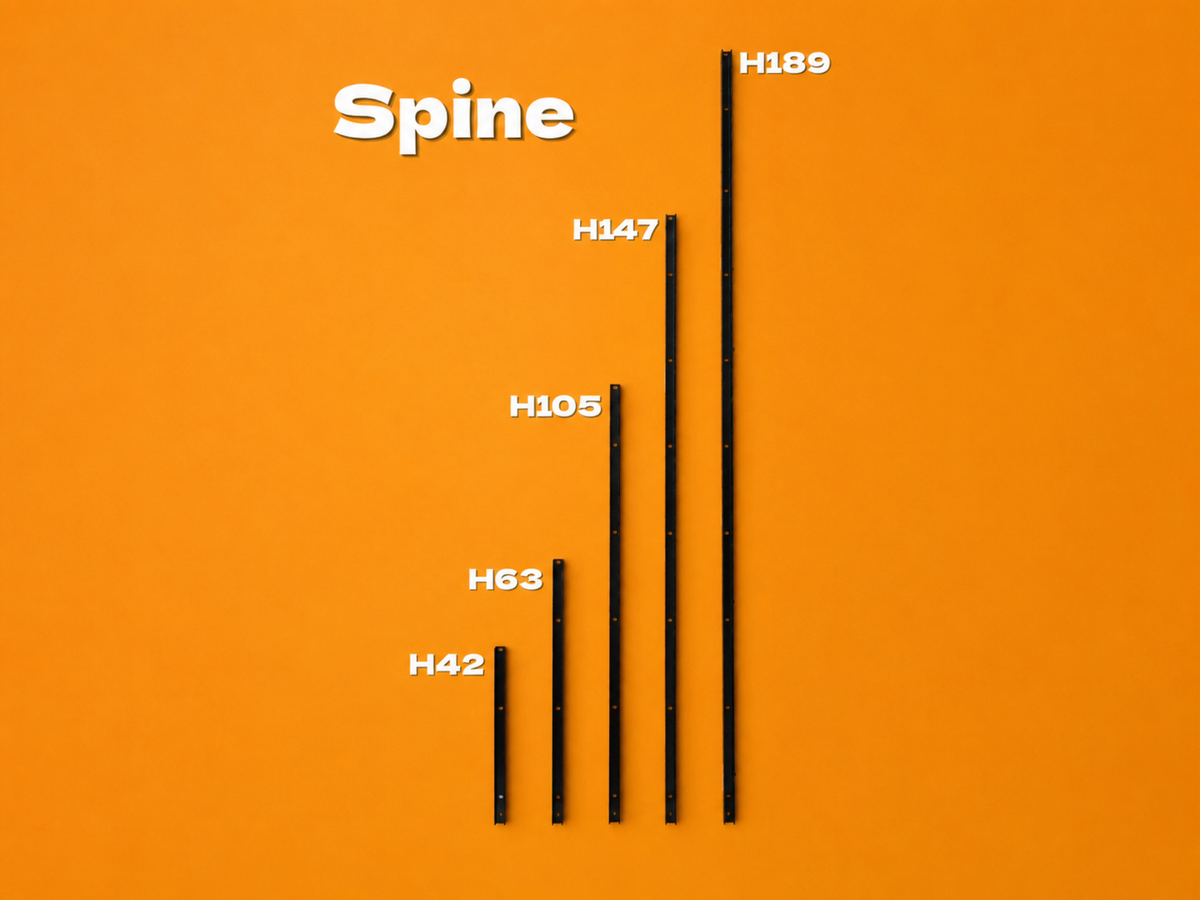 Spine