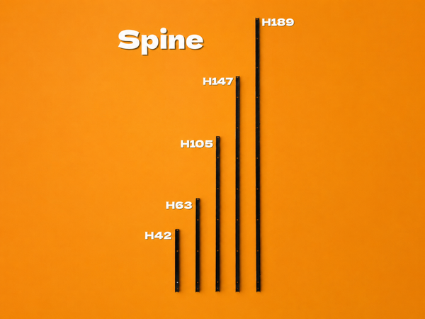 Spine