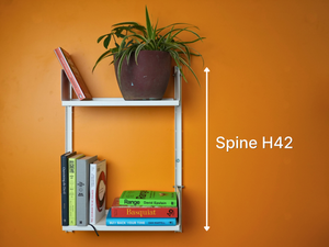 Spine