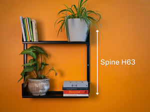 Spine
